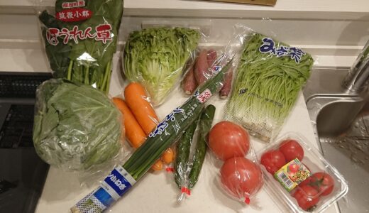 【ふるさと納税】野菜の詰め合わせを頼んだら色々な料理にフル活用できた