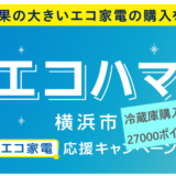 【エコハマ】冷蔵庫買い替えで27000円分Paypayポイント無事Get！【横浜市】