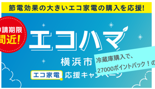 【エコハマ】冷蔵庫買い替えで27000円分PaypayポイントGetなるか【横浜市】