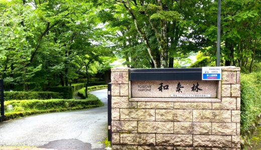 【ITS健保】トスラブ箱根和奏林にリピート宿泊！特別料理も追加～夕食編～【保養施設写真付レビュー】