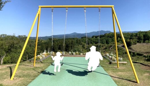 【新NISA資産形成】38歳で約3000万円！2年で1000万円増の内訳公開【2025年版｜オルカン＆ETF】