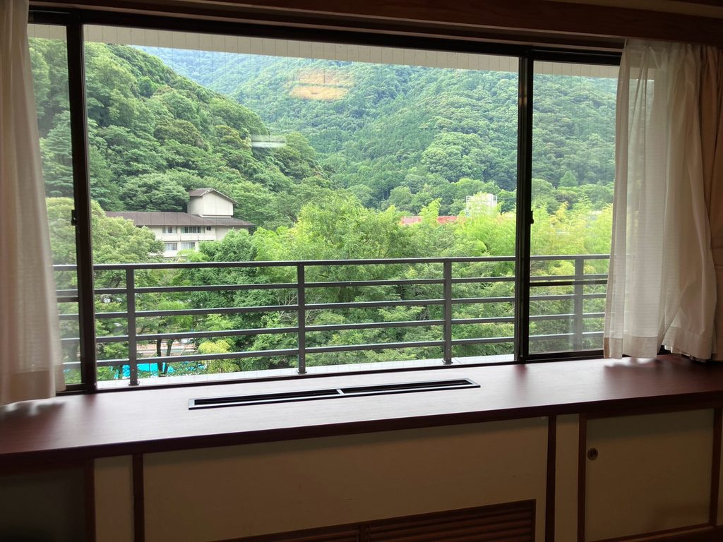 箱根路 開雲|窓からの眺め
